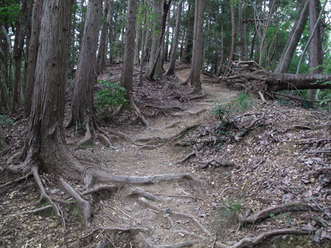 20171005hike (52)